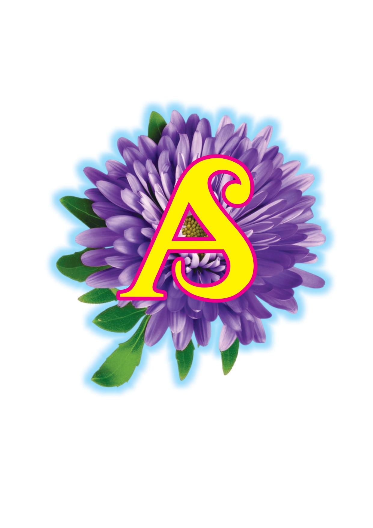 BANARASI SOFT SILK SAREE